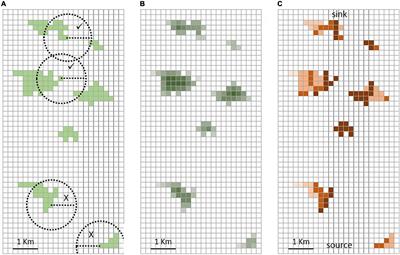 Co-designing an Indicator of Habitat Connectivity for England